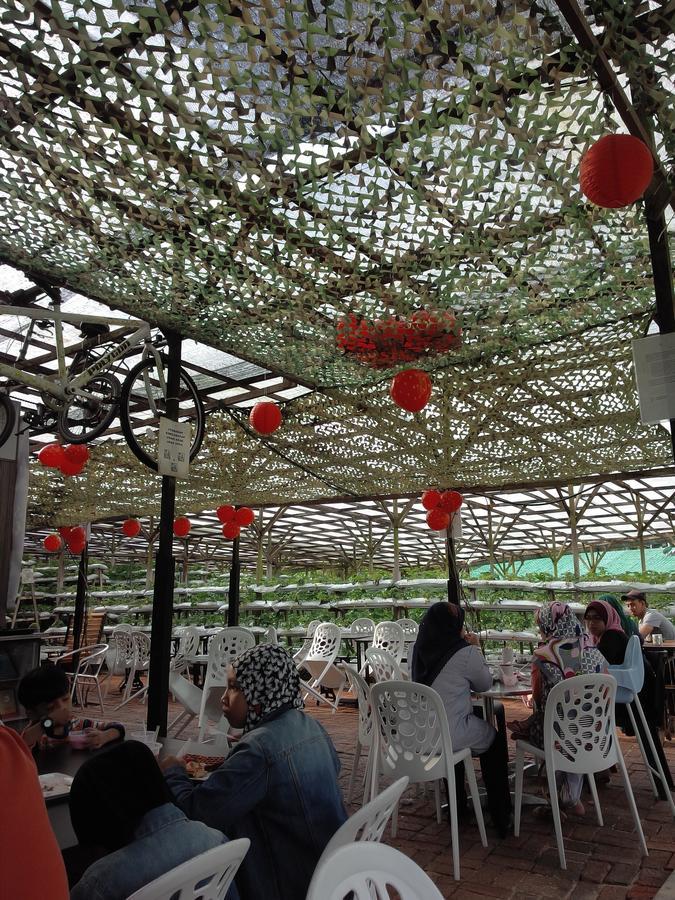 Azizi&Yati Muslim Homestay Cameron Highlands Exterior foto